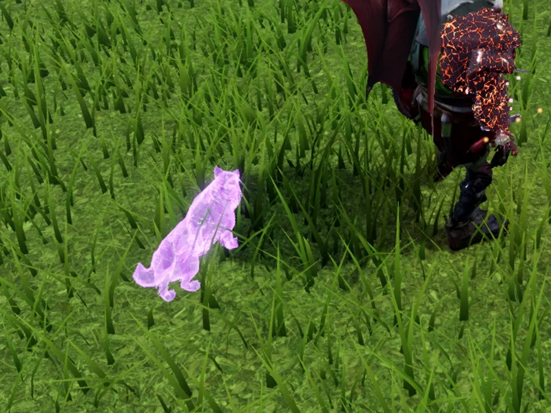 Companion violet
